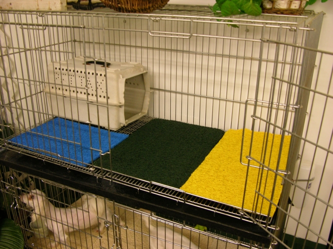 dog kennel matting